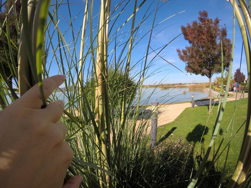 Lake And Spa Apartman Velence Exterior photo